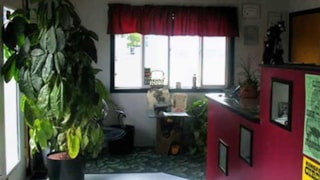 Bear Paw Motel: lobby