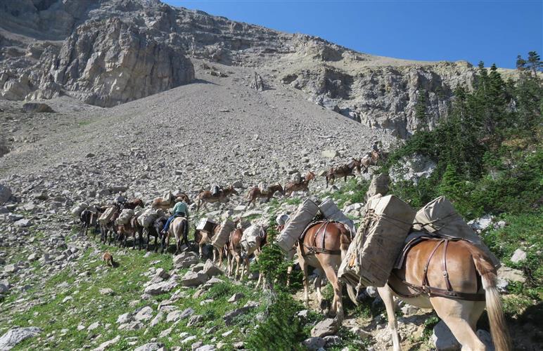 7 Lazy P Outfitting: 