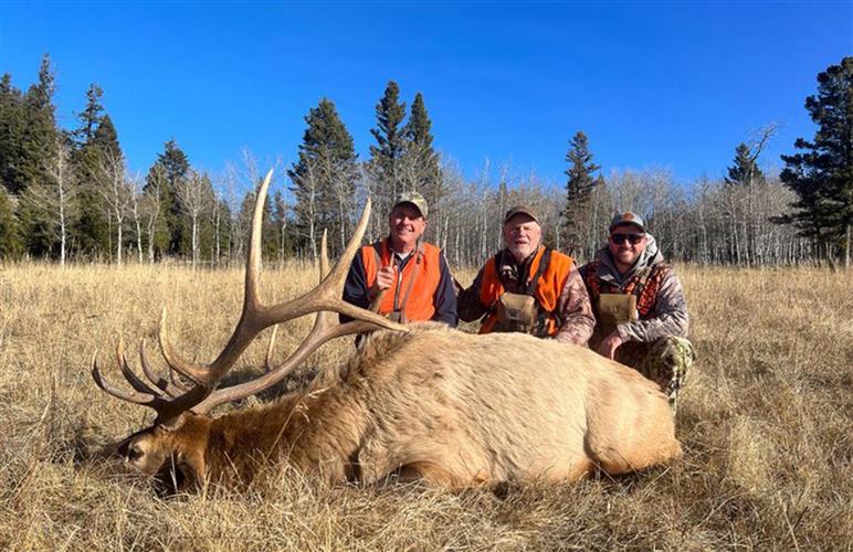 Daylight Creek Adventures: 