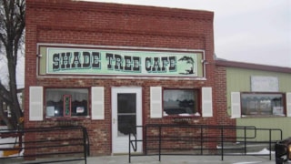 Shade Tree Cafe: 