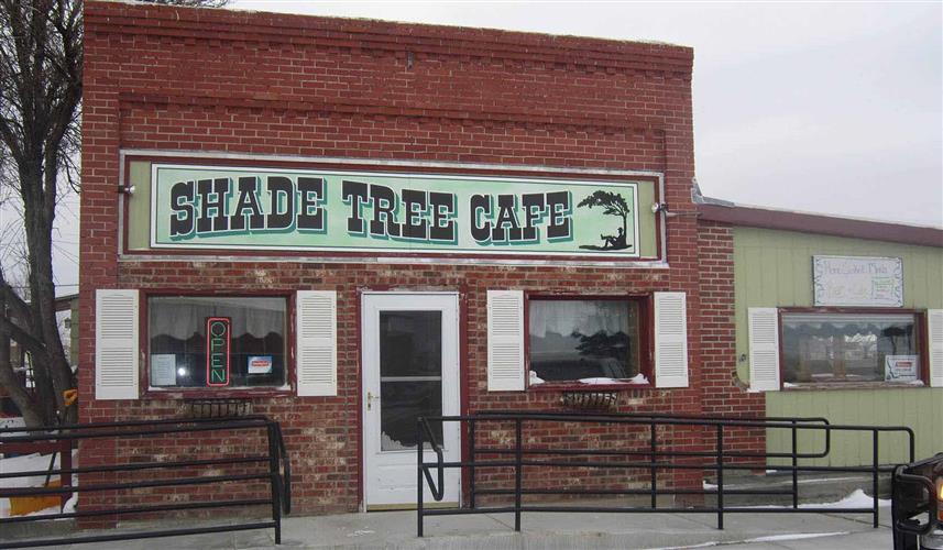 Shade Tree Cafe: 