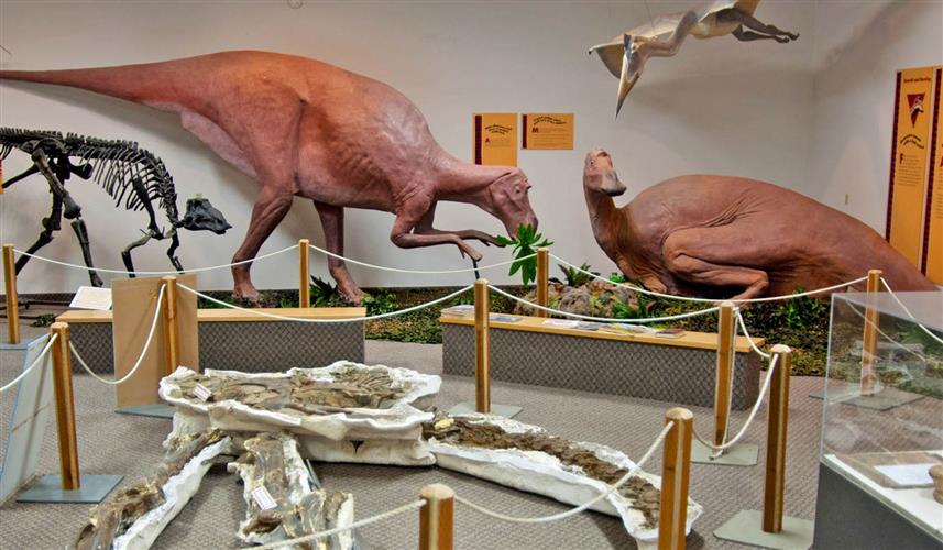 Depot Museum: dinosaur exhibit