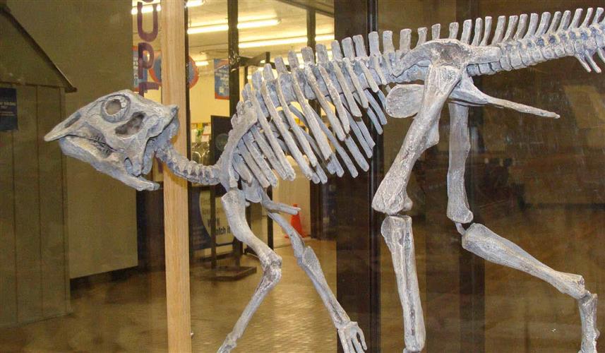 H. Earl Clack Memorial Museum: 