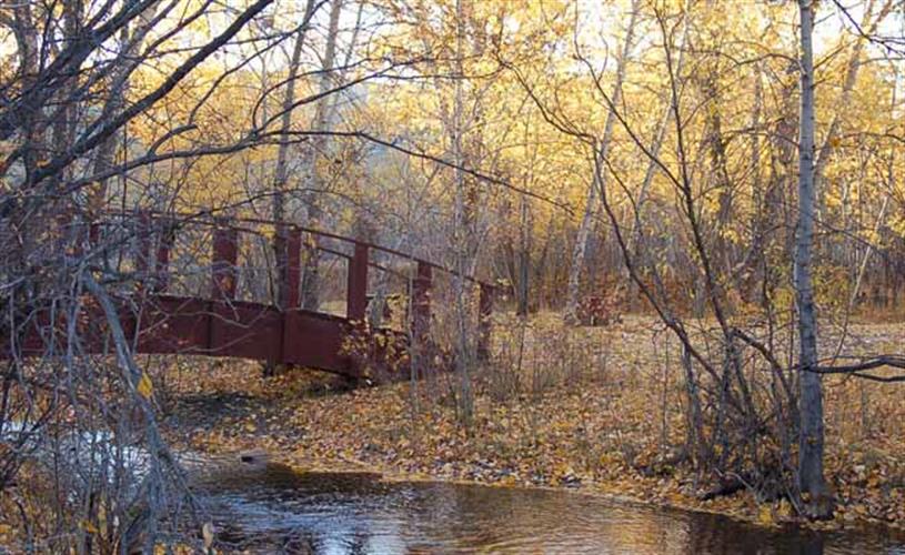 Beaver Creek Park: bridge in fall