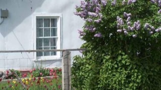 Andersen's Blackleaf Guest House: exterior spring