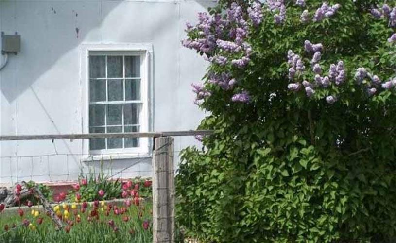 Andersen's Blackleaf Guest House: exterior spring