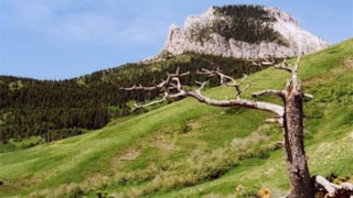 Feather Woman Mountain Adventures: scenery