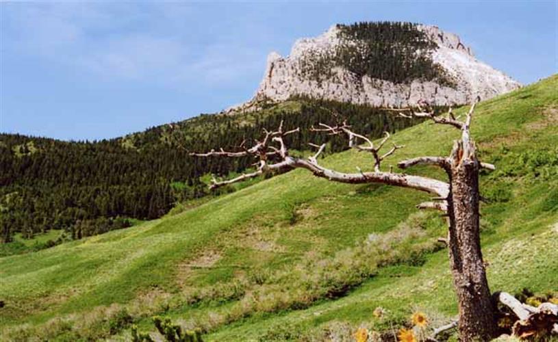 Feather Woman Mountain Adventures: scenery