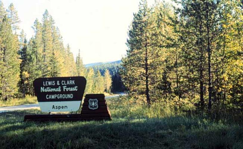 Aspen Campground: 