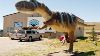 The Montana Dinosaur Center: 