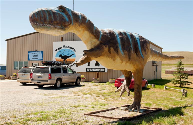 The Montana Dinosaur Center: 