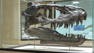 Blaine County Museum: 