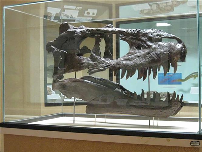 Blaine County Museum: 