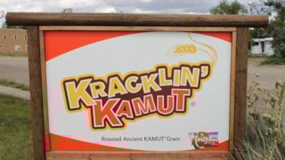 Kracklin' Kamut Brand Ancient Grain: Kamut Sign