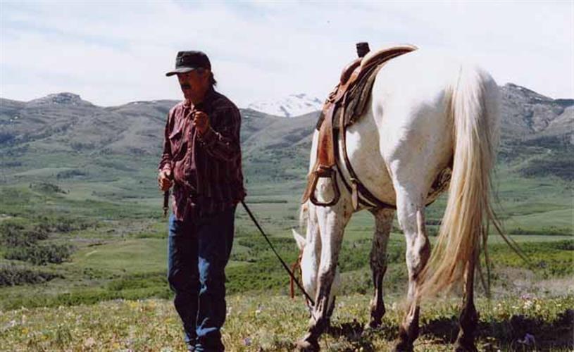 Feather Woman Mountain Adventures: trail ride