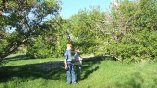 Beaver Creek Park: birding