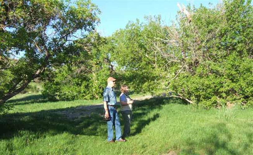 Beaver Creek Park: birding