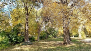Choteau City Park & Campground: 