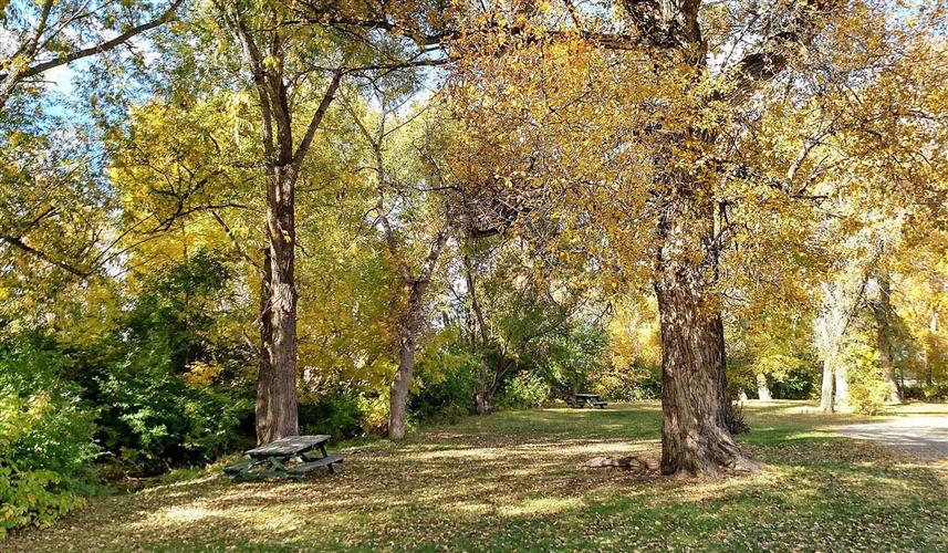 Choteau City Park & Campground: 