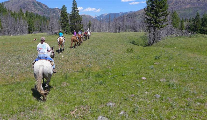 A Lazy H Outfitters: 