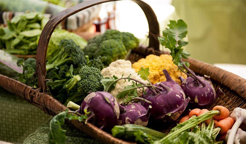 Rocky Mountain Front Farmers Market: 