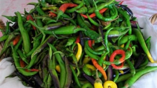 Rocky Mountain Front Farmers Market: Rocky Mountain Front Farmers Market