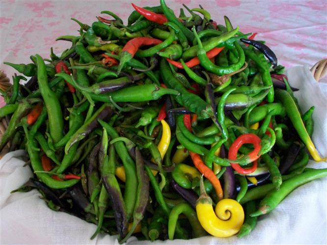 Rocky Mountain Front Farmers Market: Rocky Mountain Front Farmers Market