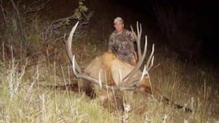 Bear Paw Hunts: elk hunt