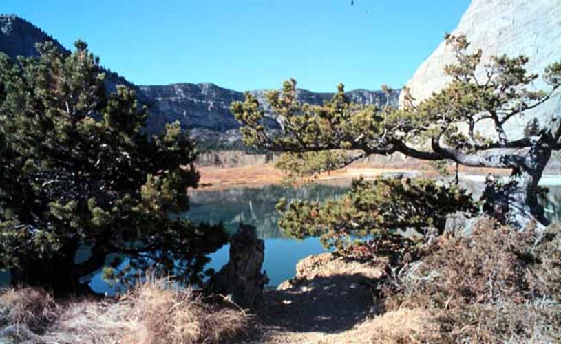 Sun River Wildlife Management Area: scenery along the Sun River