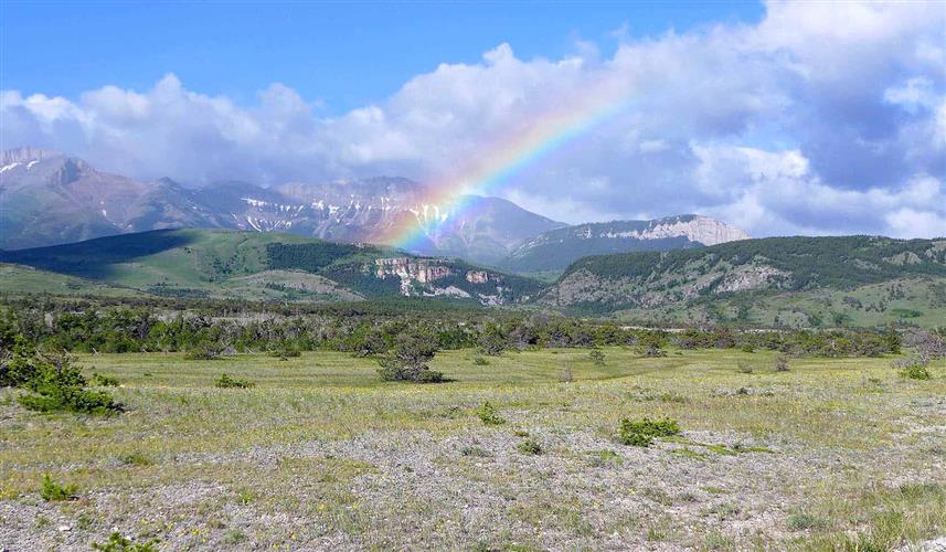 A Lazy H Outfitters: 