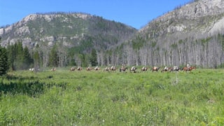 A Lazy H Outfitters: 