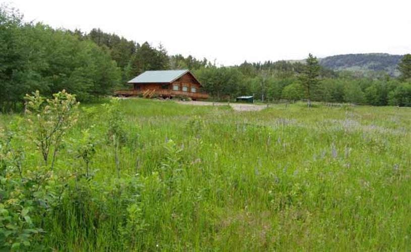 Bear Paw Hunts: cabin