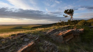Northern Rocky Mountain Front Backcountry Drive: 