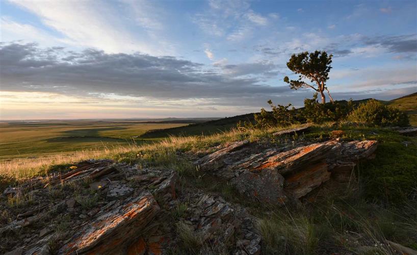 Northern Rocky Mountain Front Backcountry Drive: 