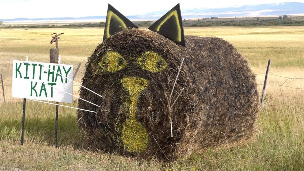 The Montana Bale Trail