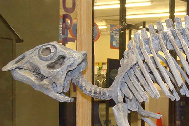 H. Earl Clack Museum, Havre