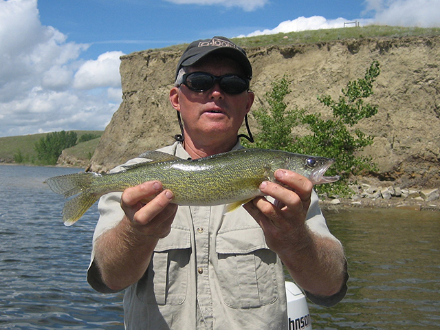 Walleye Fishing Fresno Reservoir, Montana