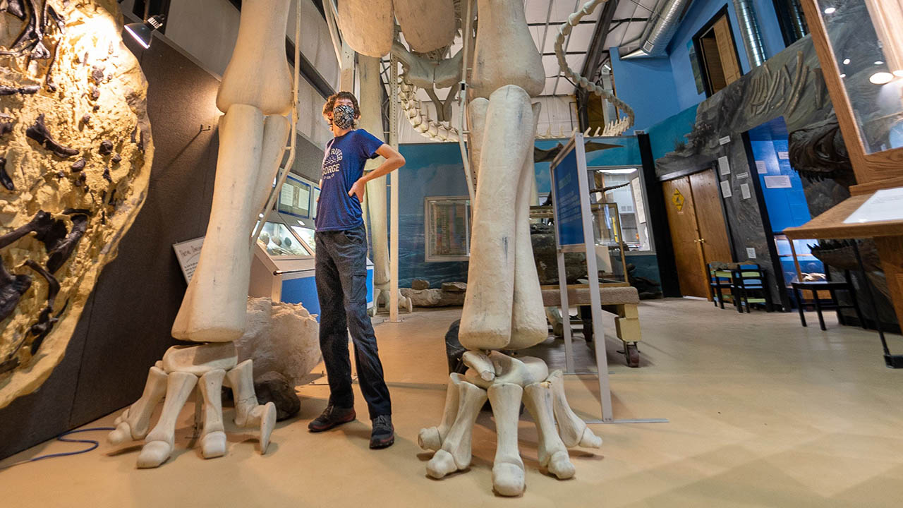 Fossils at Two Medicine Dinosaur Center