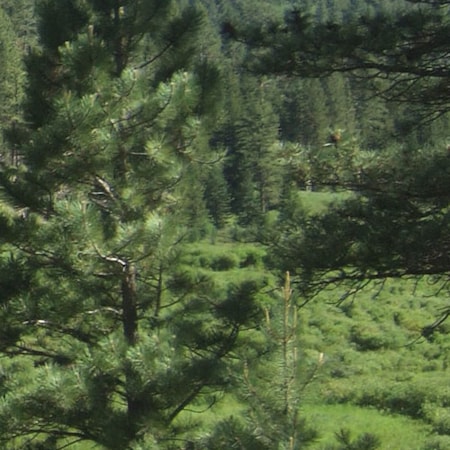 Central Montana Hay Canyon Campground