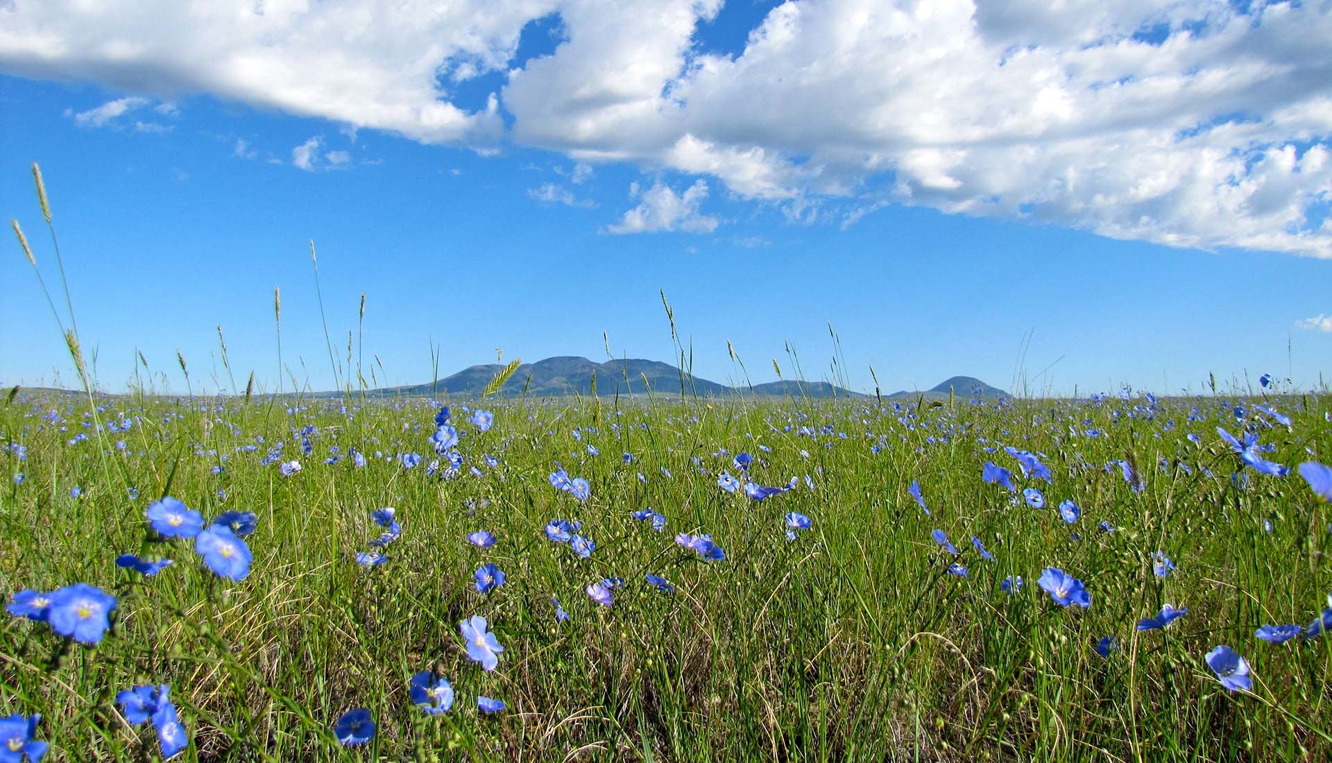 Montana Hi-Line Road Trip
