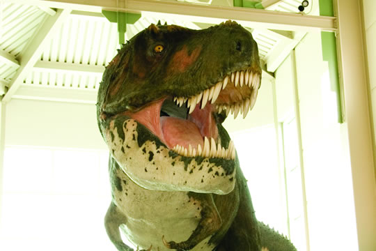 Fort Peck: Fort Peck Interpretive Center