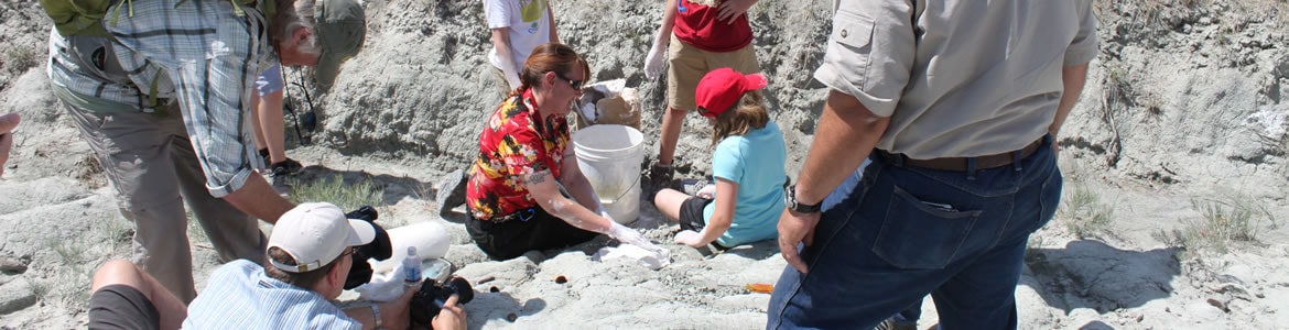 Dinosaurs in Central Montana