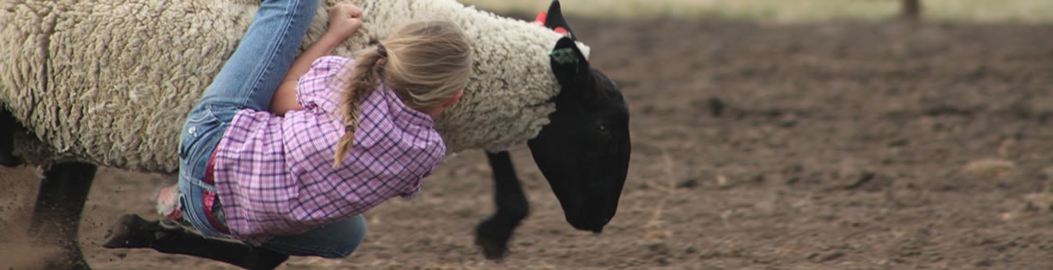 Rodeos in Central Montana