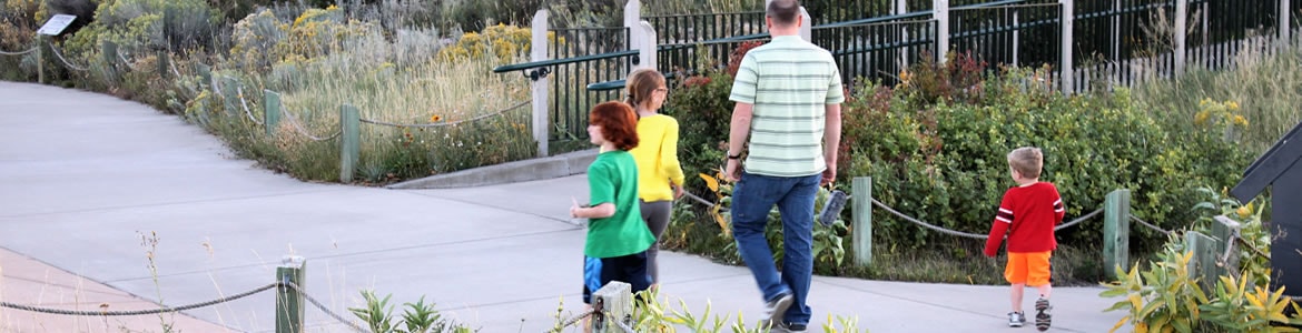 Hiking and Walking Trails in Central Montana