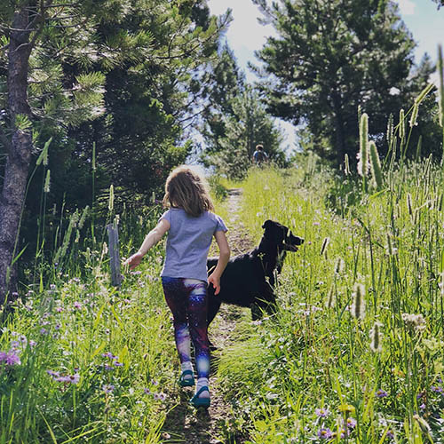 Child hiking in the Little Belt Mountains