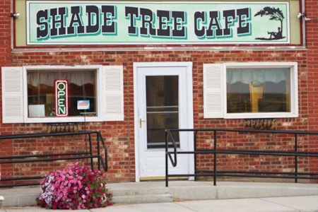 Shade Tree, Denton