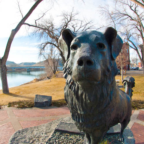 Shep monument in Fort Benton