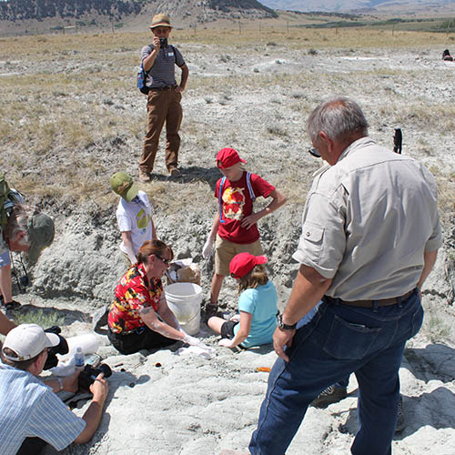 Digging fossils in Choteau
