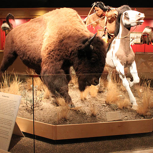 Native American display at Fort Benton Museum