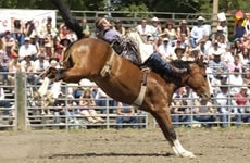 81st Annual American Legion Rodeo